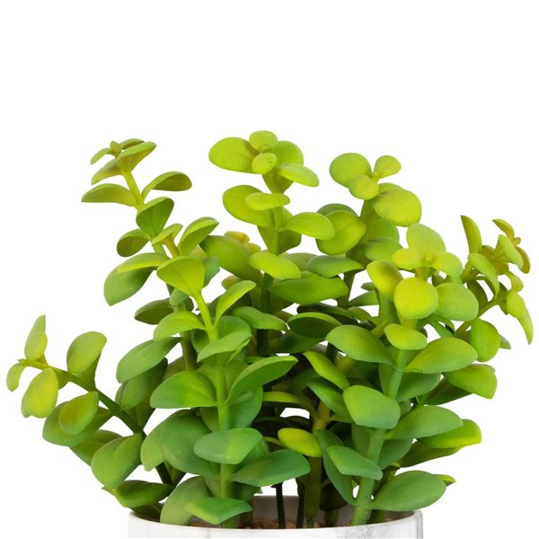 Northlight 8.5-in Artificial Privet Plant - Faux Marble Pot Green