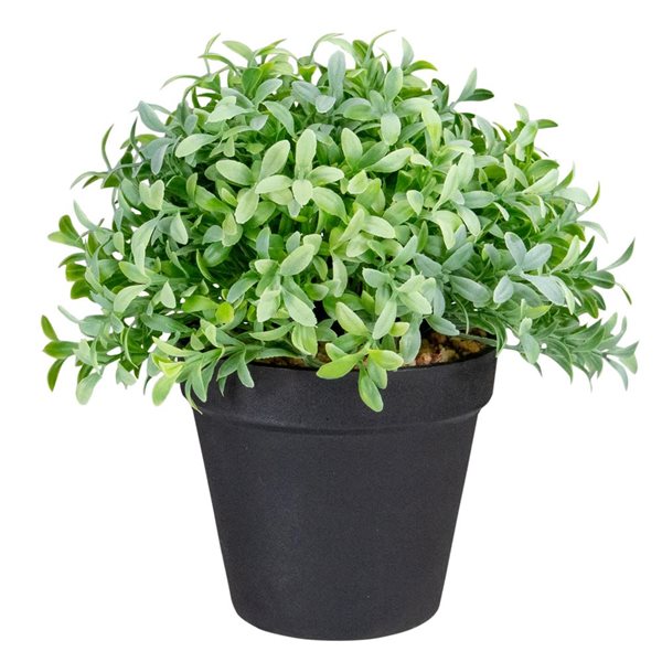 Northlight 7.5-in Potted Green Artificial Boxwood Plant