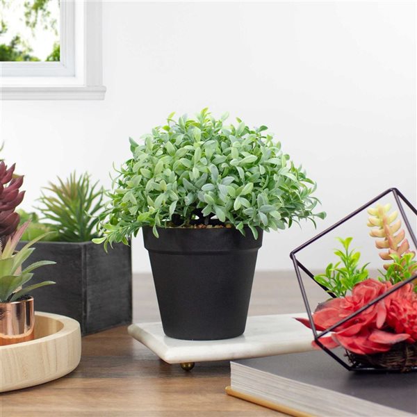 Northlight 7.5-in Potted Green Artificial Boxwood Plant