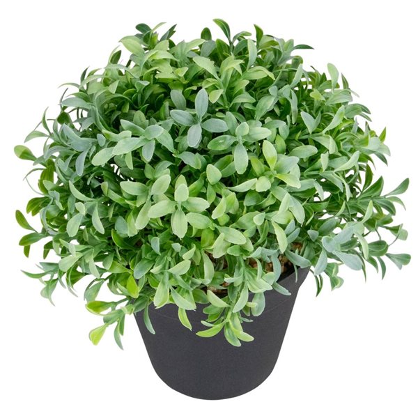 Northlight 7.5-in Potted Green Artificial Boxwood Plant