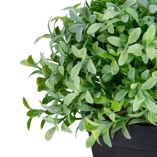 Northlight 7.5-in Potted Green Artificial Boxwood Plant