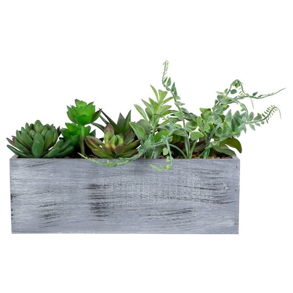 Northlight 12-in Artificial Mixed Succulent Plants in Rectangular Planter