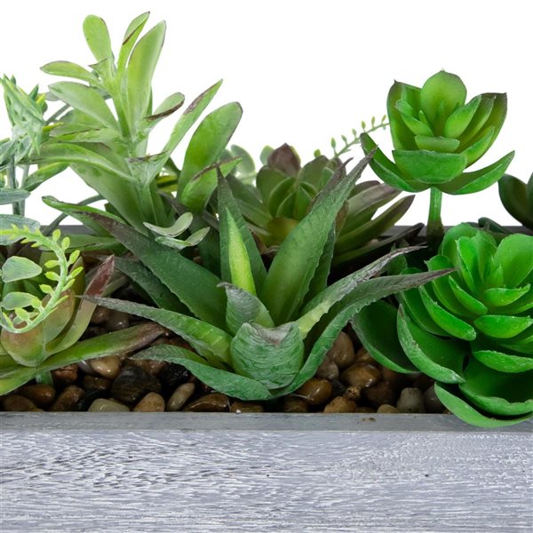 Northlight 12-in Artificial Mixed Succulent Plants in Rectangular Planter