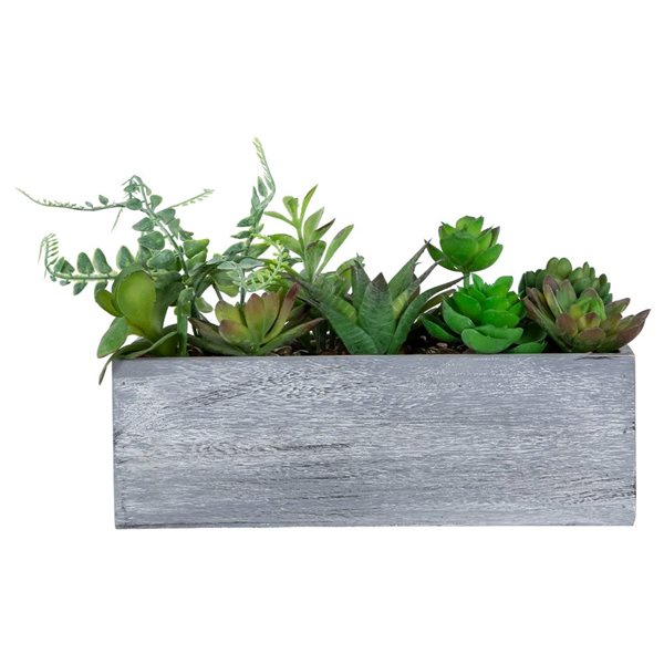 Northlight 12-in Artificial Mixed Succulent Plants in Rectangular Planter