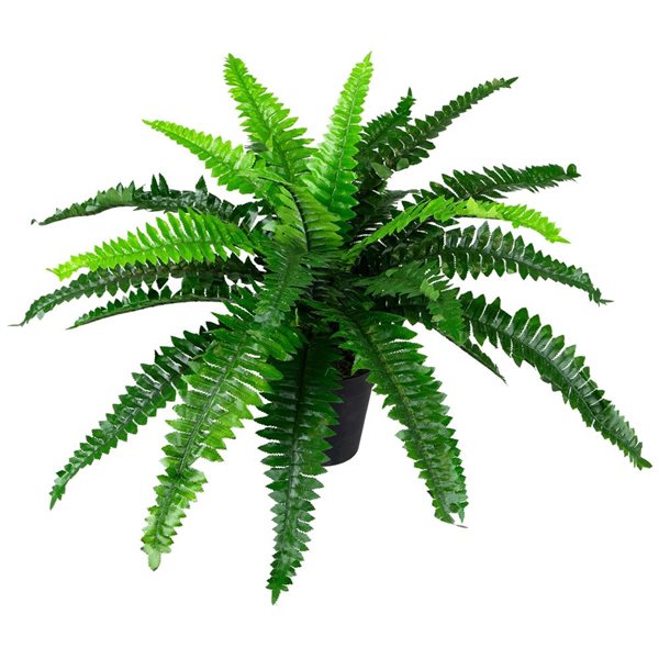 Northlight 17.5-in Potted Artificial Green Boston Fern Plant