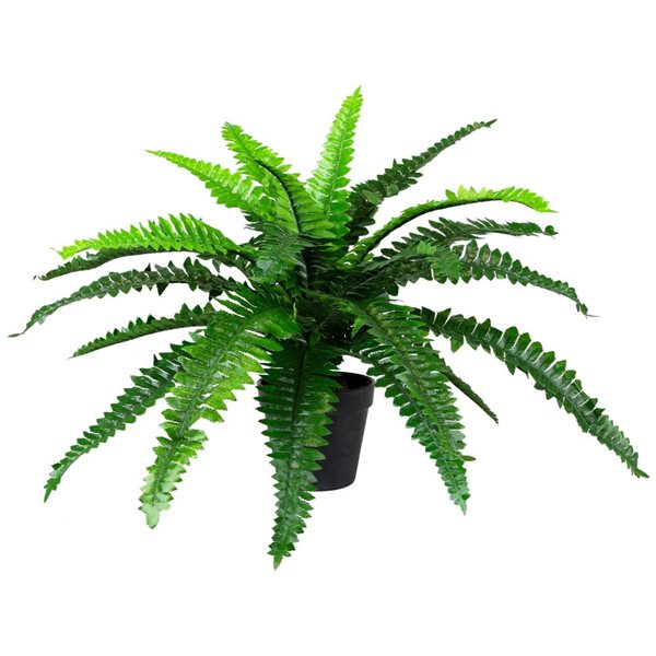 Northlight 17.5-in Potted Artificial Green Boston Fern Plant