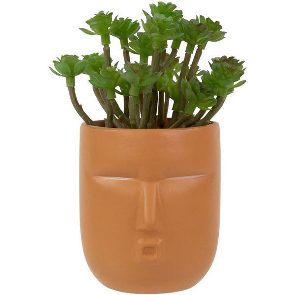 Northlight 5.5-in Mini Artificial Succulent in Face Planter Pot