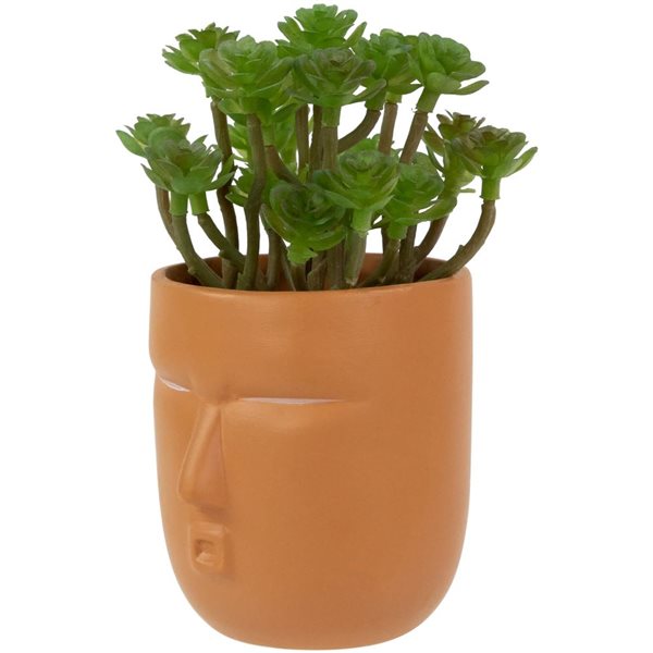 Northlight 5.5-in Mini Artificial Succulent in Face Planter Pot