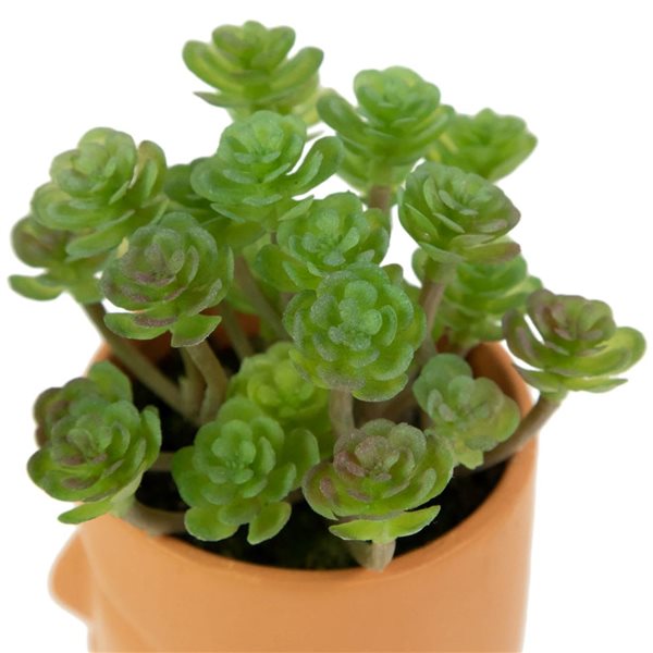 Northlight 5.5-in Mini Artificial Succulent in Face Planter Pot