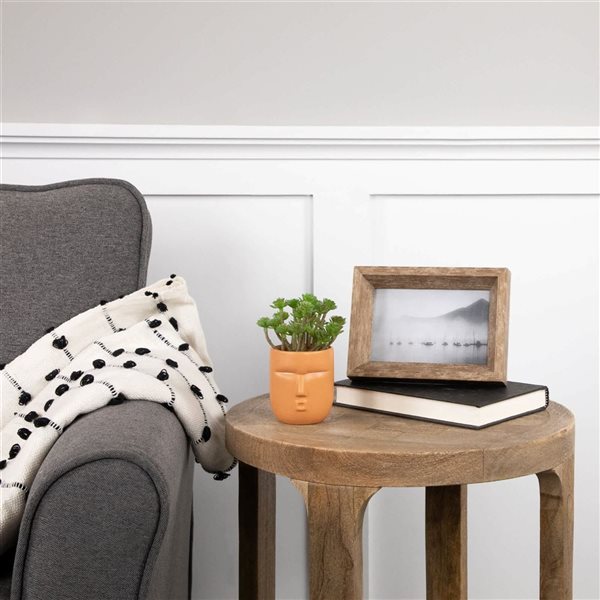 Northlight 5.5-in Mini Artificial Succulent in Face Planter Pot