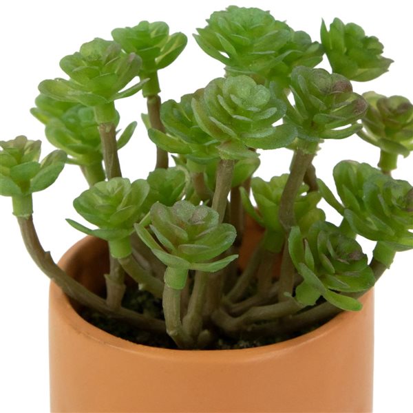 Northlight 5.5-in Mini Artificial Succulent in Face Planter Pot