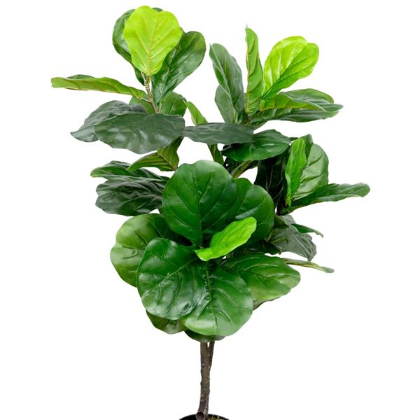 Northlight 4-ft Potted Two-Tone Green Artificial Wide Fiddle Leaf Fig Tree