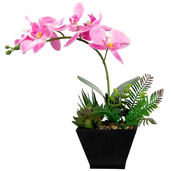 Northlight 13-in Artificial Orchid with Succulent Plants - Light Pink
