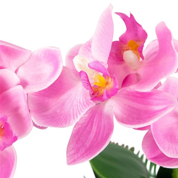 Northlight 13-in Artificial Orchid with Succulent Plants - Light Pink