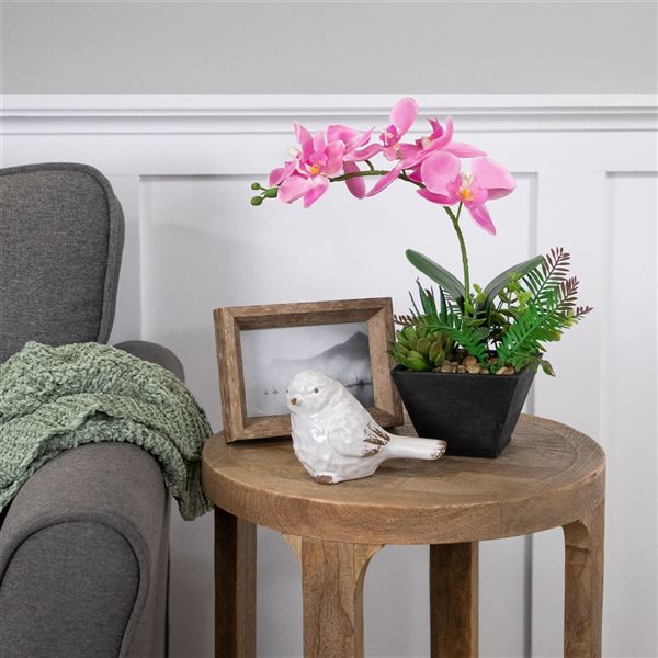 Northlight 13-in Artificial Orchid with Succulent Plants - Light Pink