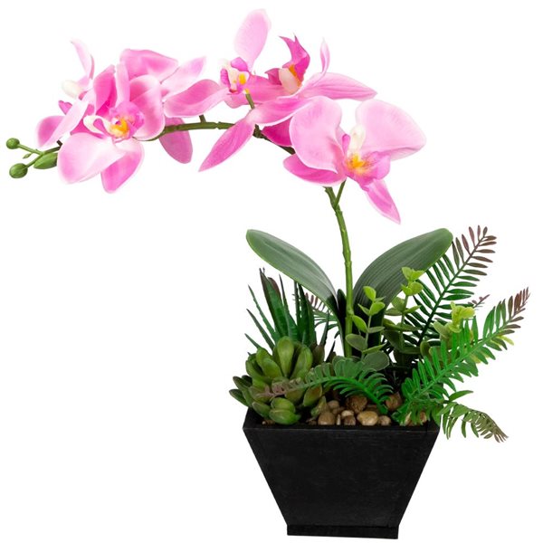 Northlight 13-in Artificial Orchid with Succulent Plants - Light Pink