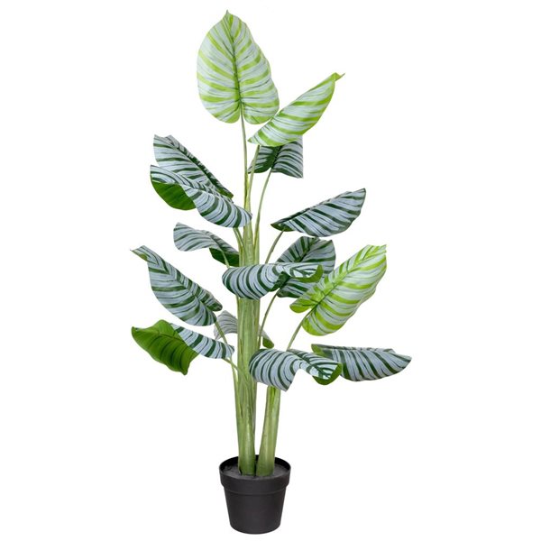 Northlight 4-ft Potted Two-Tone Green Calathea Artificial Floor Plant