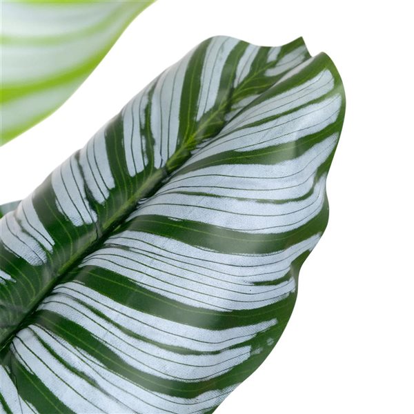 Northlight 4-ft Potted Two-Tone Green Calathea Artificial Floor Plant