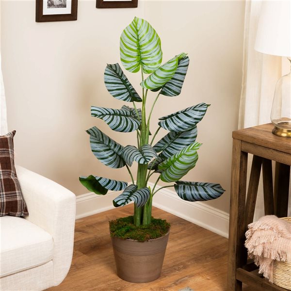 Northlight 4-ft Potted Two-Tone Green Calathea Artificial Floor Plant