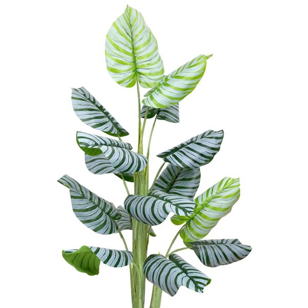 Northlight 4-ft Potted Two-Tone Green Calathea Artificial Floor Plant