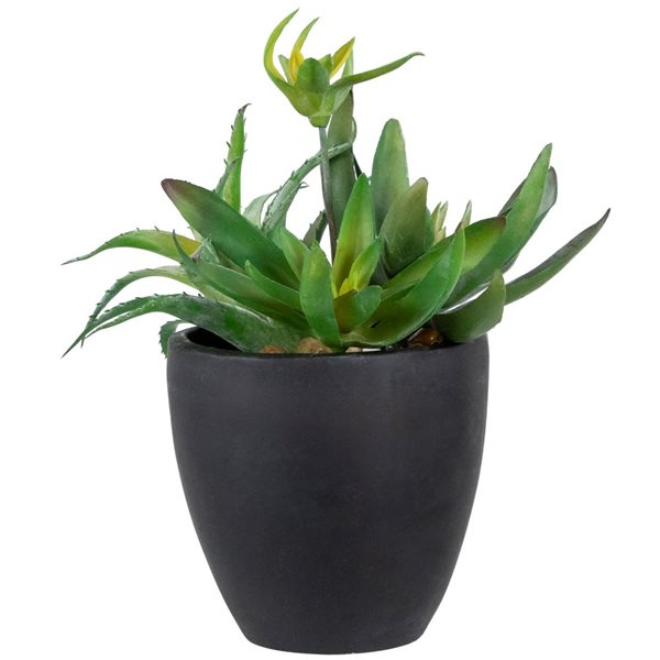 Northlight 11-in Potted Green Artificial Mixed Succulent Plant Arrangement