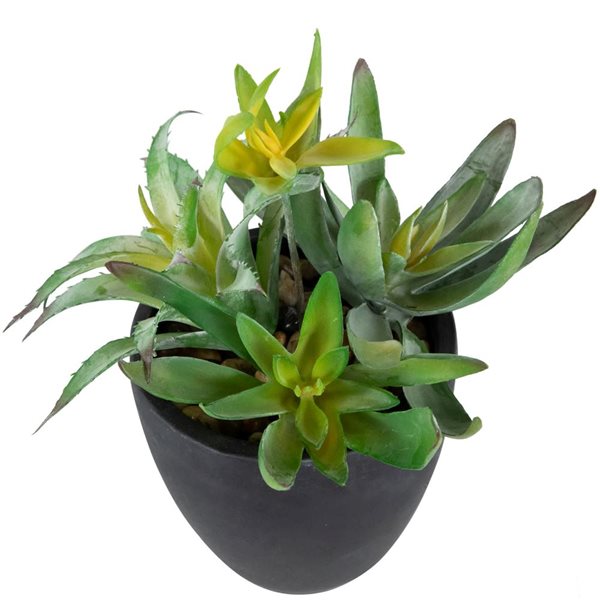 Northlight 11-in Potted Green Artificial Mixed Succulent Plant Arrangement