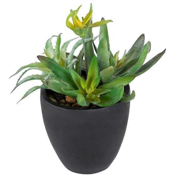 Northlight 11-in Potted Green Artificial Mixed Succulent Plant Arrangement