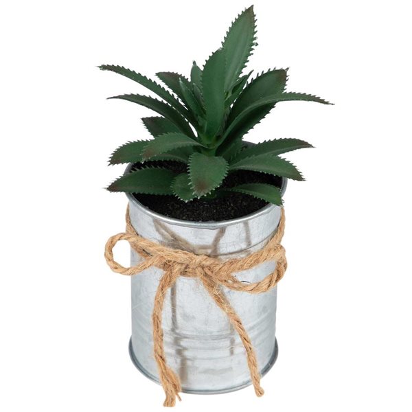 Northlight Mini Tropical Succulent Artificial Plant in Tin Pot - 6-in