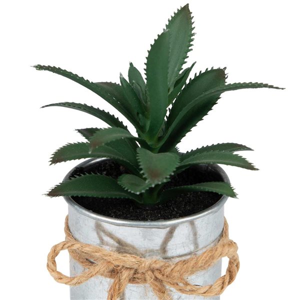 Northlight Mini Tropical Succulent Artificial Plant in Tin Pot - 6-in