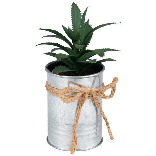Northlight Mini Tropical Succulent Artificial Plant in Tin Pot - 6-in