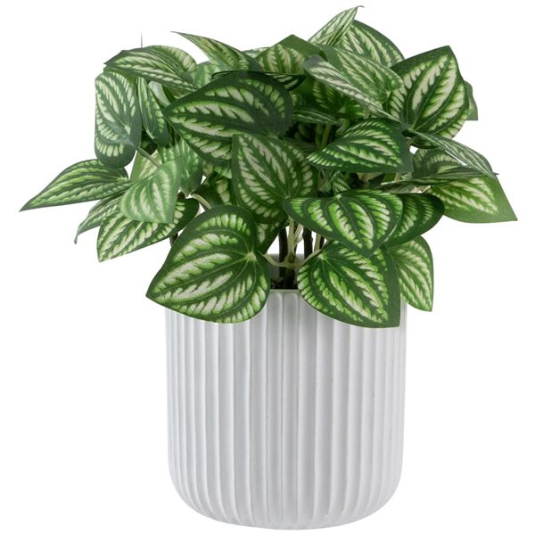 Northlight 6.5-in Artificial Watermelon Peperomia Plant in Pot