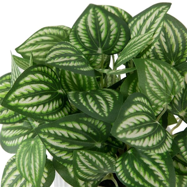 Northlight 6.5-in Artificial Watermelon Peperomia Plant in Pot