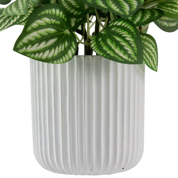 Northlight 6.5-in Artificial Watermelon Peperomia Plant in Pot