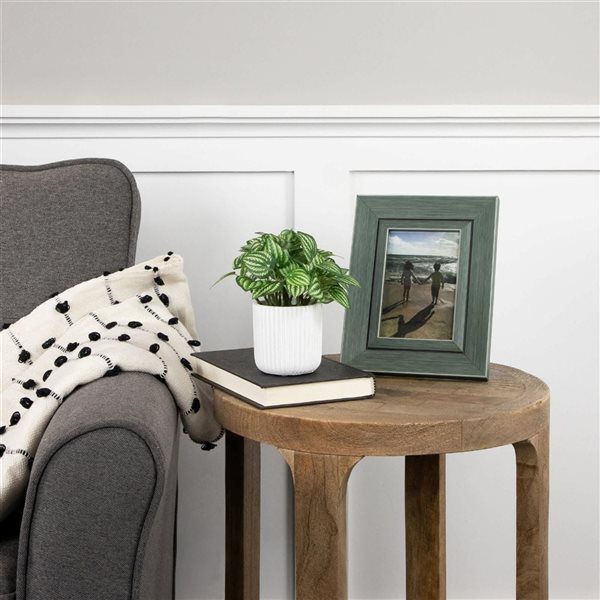 Northlight 6.5-in Artificial Watermelon Peperomia Plant in Pot