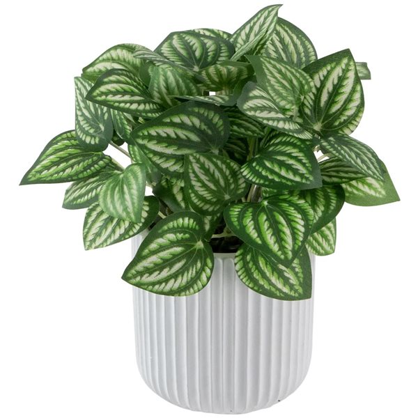 Northlight 6.5-in Artificial Watermelon Peperomia Plant in Pot