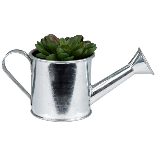 Northlight 6-in Potted Artificial Mini Echeveria Succulent with Watering Can