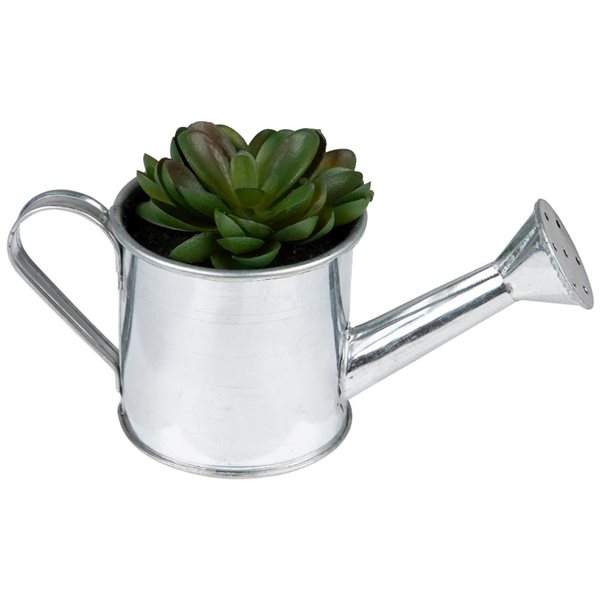 Northlight 6-in Potted Artificial Mini Echeveria Succulent with Watering Can