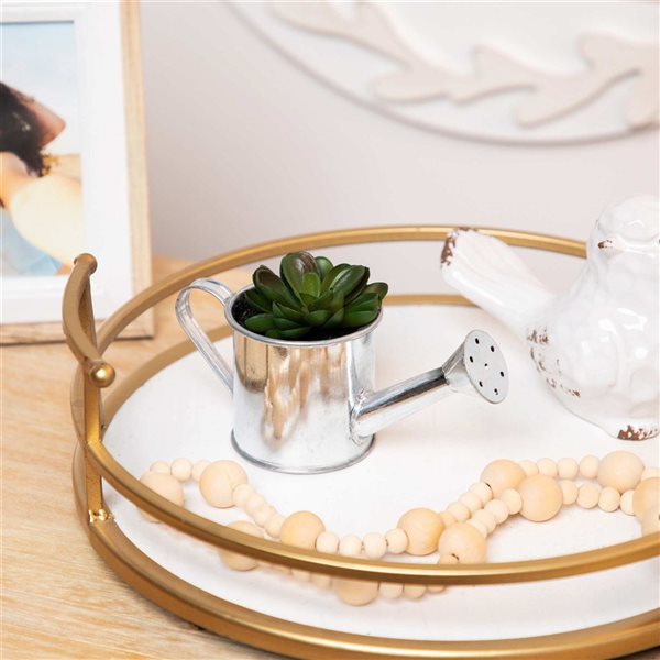 Northlight 6-in Potted Artificial Mini Echeveria Succulent with Watering Can