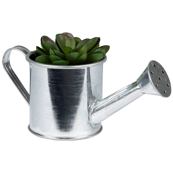 Northlight 6-in Potted Artificial Mini Echeveria Succulent with Watering Can
