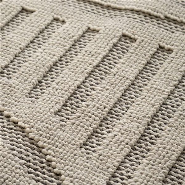 Rug Branch Hogar 5-ft x 8-ft Abstract Rectangle Polypropylene Residential Indoor Area Rug - Grey