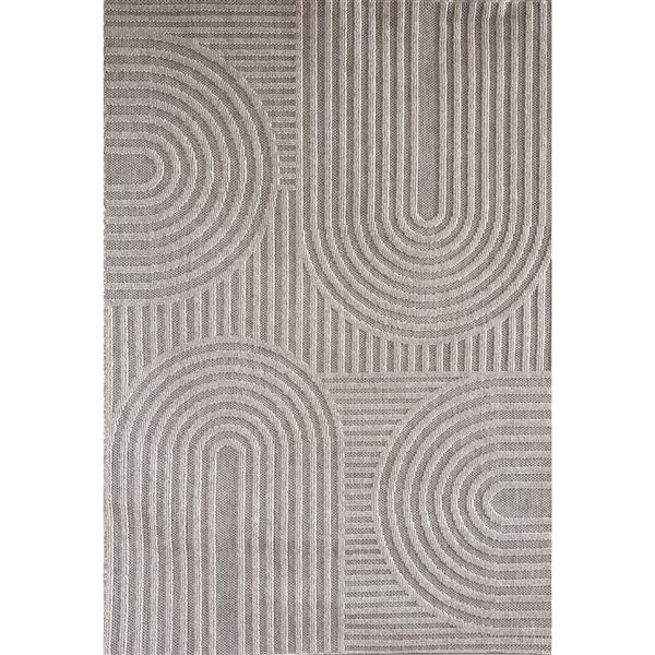 Rug Branch Hogar 5-ft x 8-ft Abstract Rectangle Polypropylene Residential Indoor Area Rug - Grey