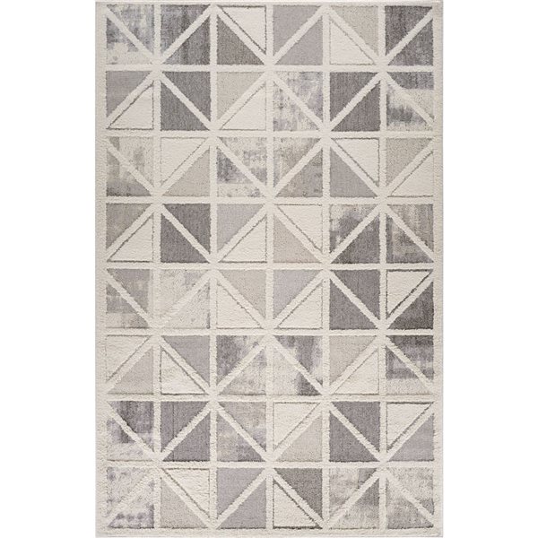 Front Facing Rug Rug Branch Nimbus 7-ft x 10-ft Geometric Polypropylene Residential ...