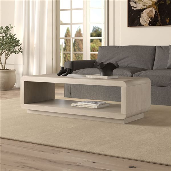 Hailey Home Lonni 47-in Alder Washed White Coffee Table