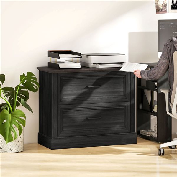 HOMCOM Black Lateral File Cabinet with 2 Drawers