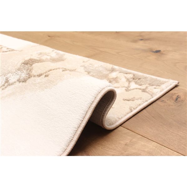 ECARPET Dove Ivory Contemporary Rectangle Polyester Abstract Area Rug - 5 x 8-ft