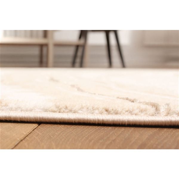 ECARPET Dove Ivory Contemporary Rectangle Polyester Abstract Area Rug - 5 x 8-ft