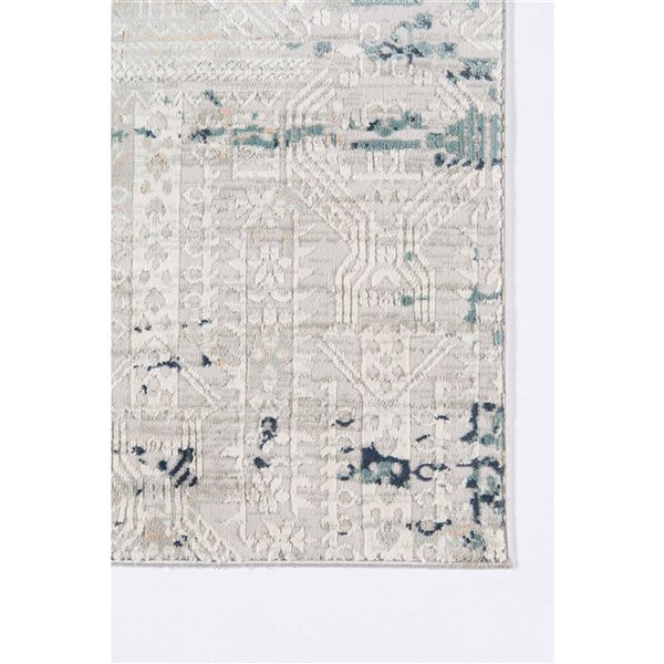 ECARPET Amber Silver Grey Traditional Rectangle Polyester Distressed/Overdyed Area Rug - 5 x 7-ft