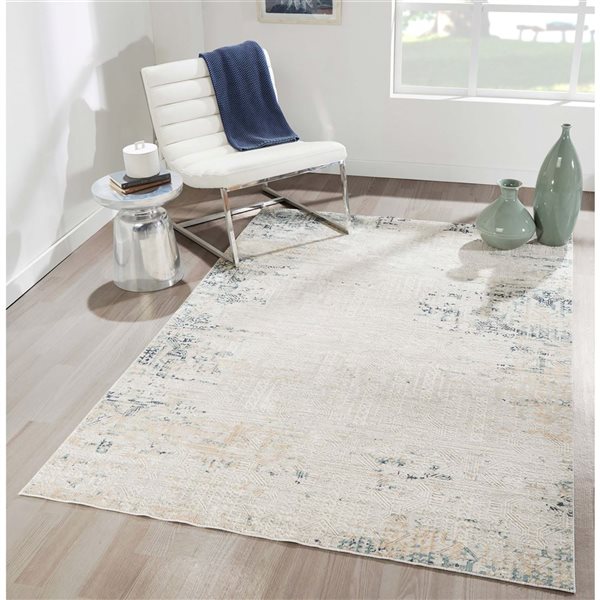 ECARPET Amber Silver Grey Traditional Rectangle Polyester Distressed/Overdyed Area Rug - 5 x 7-ft