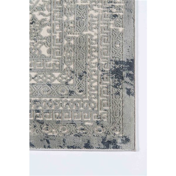ECARPET Mabel Sage Traditional Rectangular Polyester Distressed/Overdyed Area Rug - 7 x 9-ft