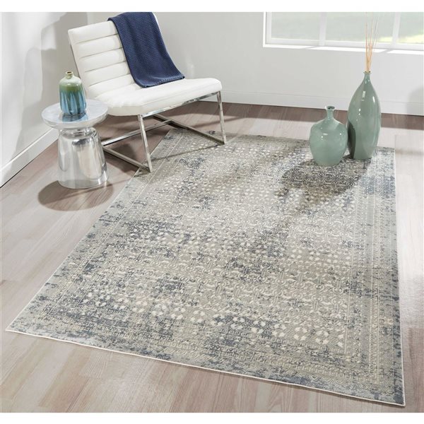 ECARPET Mabel Sage Traditional Rectangular Polyester Distressed/Overdyed Area Rug - 5 x 7-ft